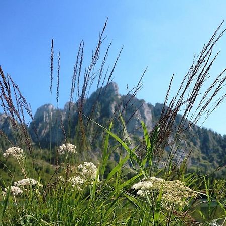 Dachstein 7 Daire Gosau Dış mekan fotoğraf