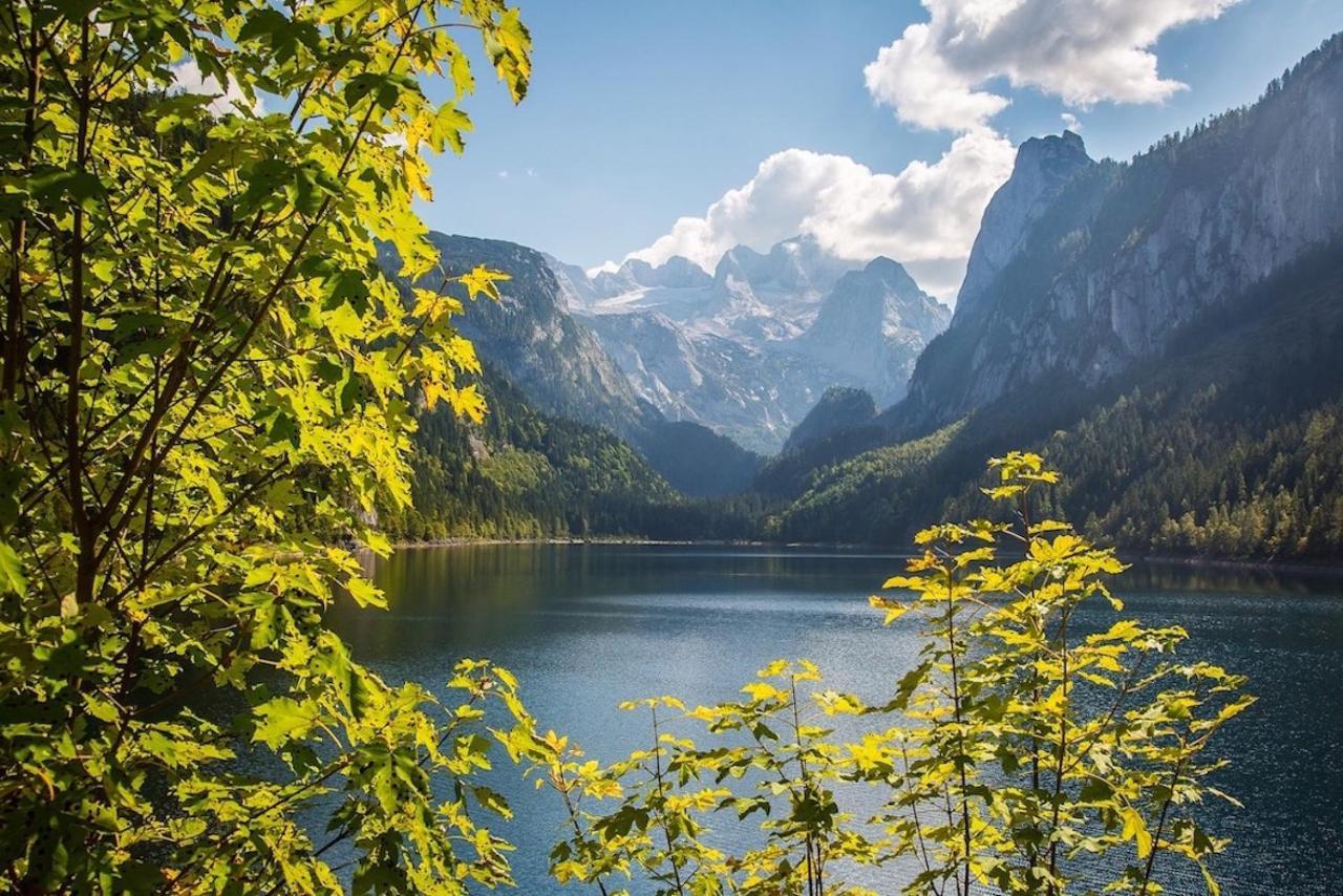 Dachstein 7 Daire Gosau Dış mekan fotoğraf