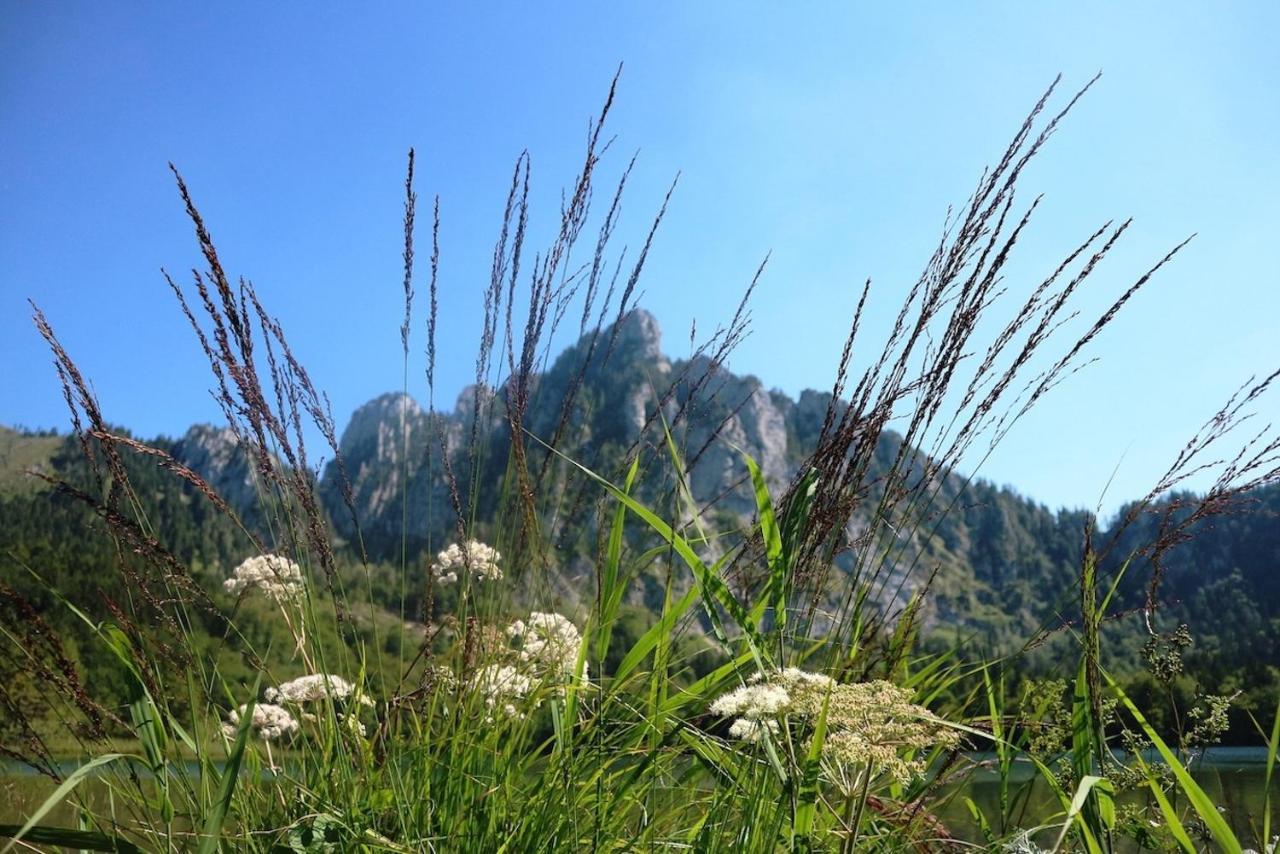 Dachstein 7 Daire Gosau Dış mekan fotoğraf